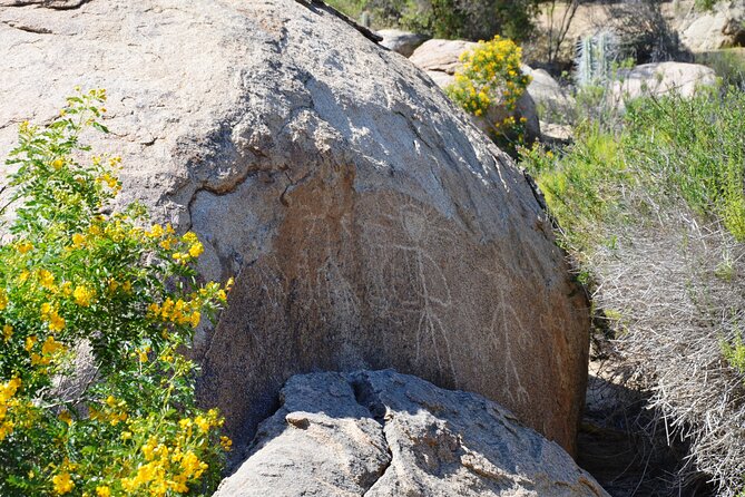 Tour to Valle Del Encanto Archeology, Petroglyphs, Flora, Fauna and Springs - Group Size and Pricing
