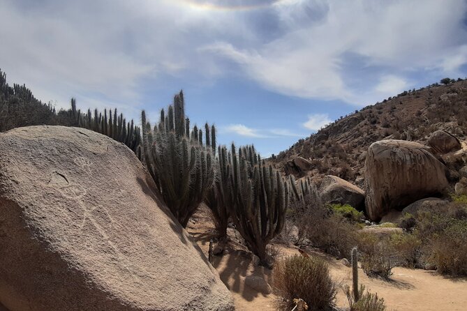 Tour to Valle Del Encanto Archeology, Petroglyphs, Flora, Fauna and Springs - Reviews and Ratings