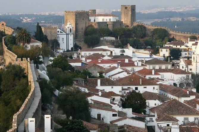 Tour / Transfer Lisbon /Porto /Porto/Lisbon With Several Stops - Inclusions