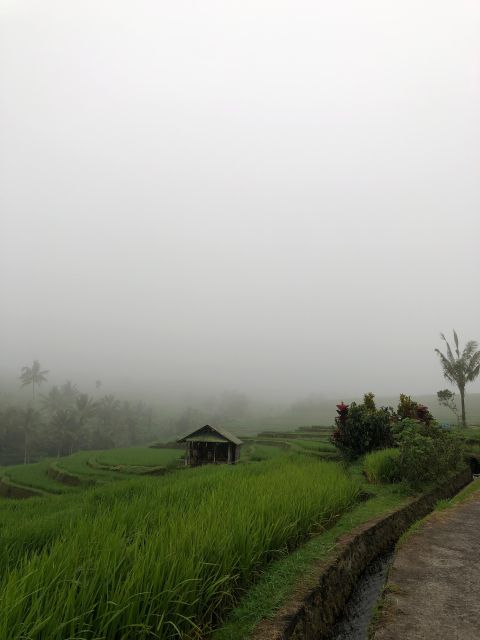 Tour & Traval Guide | Bedugul - Transportation and Guide
