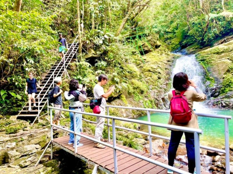TOUR TREKKING HUE - BACH MA NATIONAL PARK DAILY - Itinerary Highlights