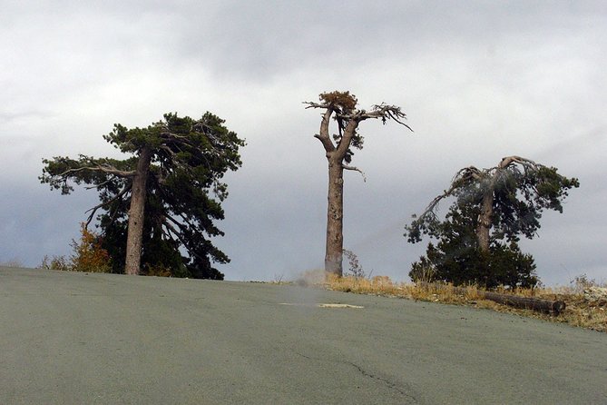 Tour TROODOS MOUNTAINS From Paphos - Itinerary and Stops