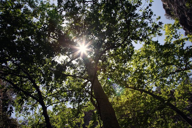 Tour TROODOS MOUNTAINS From Paphos - Additional Tour Information