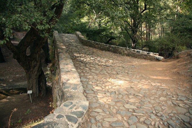 Tour TROODOS MOUNTAINS From Paphos - Review Highlights