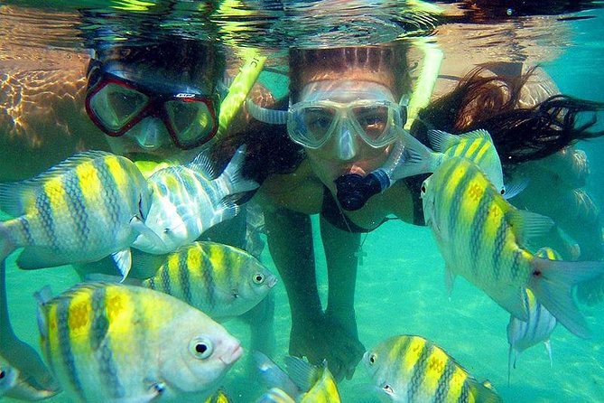Tour Two Beaches: Cinto and Crystal in Tayrona Park - Getting to the Beaches
