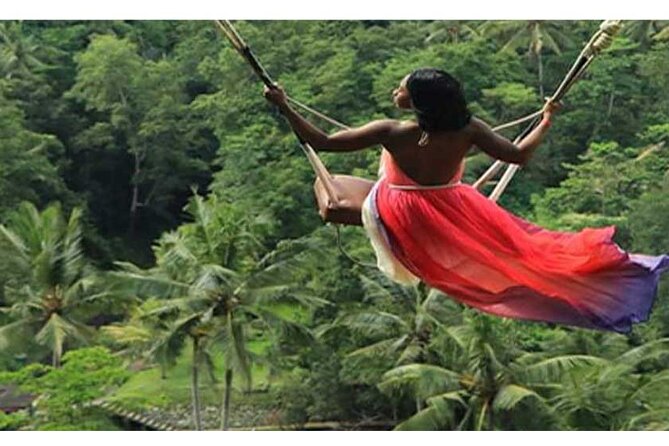Tour: Ubud Monkey Forest-Jungle Swing-RiceTerrace-Tanah LotTemple - Jungle Swing Experience