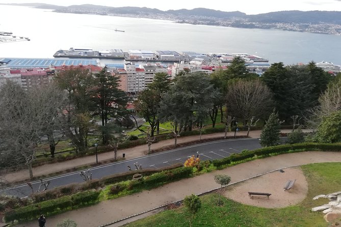 Tour Vigo and Santiago De Compostela: Departure From Braga and Guimarães - Health and Accessibility