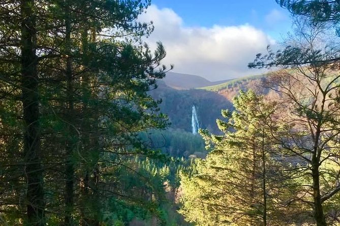 Tour Wicklow Mountains National Park in a Limo With Private Guide - Transportation and Pickup