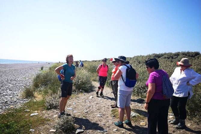 Tour Wicklow Mountains National Park in a Limo With Private Guide - Tour Experience and Feedback