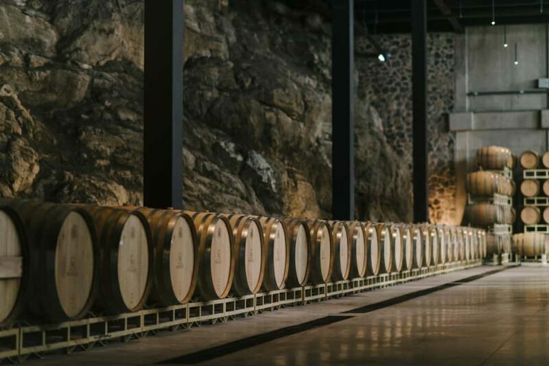 Tour & Wine Tasting San Miguel Vineyard / San Miguel Experience - What to Expect from the Tour & Tasting Experience