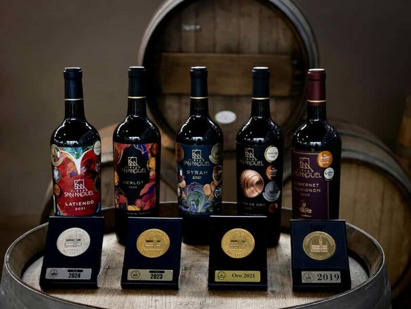 Tour & Wine Tasting San Miguel Vineyard / San Miguel Experience - Authenticity and Unique Features