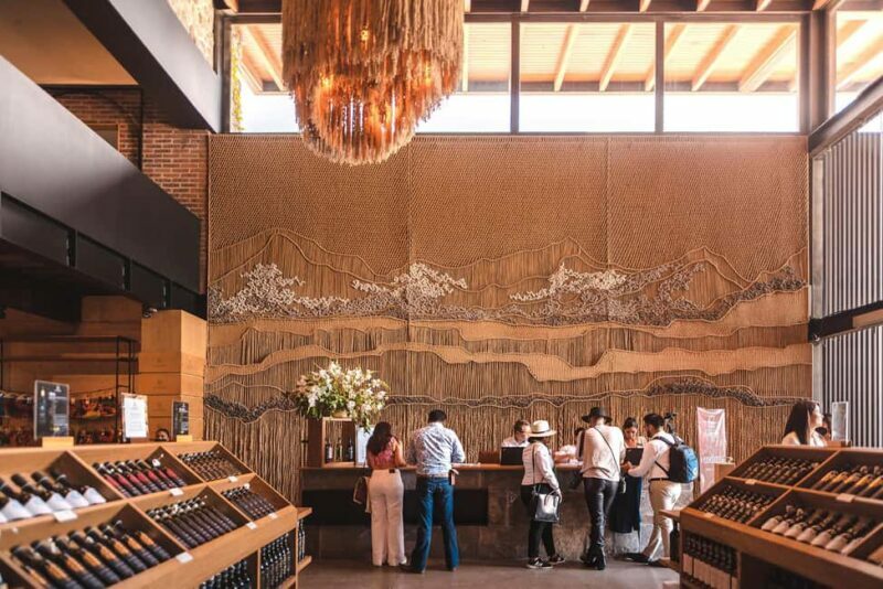 Tour & Wine Tasting San Miguel Vineyard / San Miguel Experience - Final Thoughts