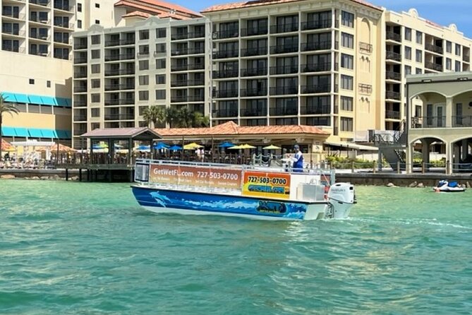 Tour With Dolphins and Sight Seeing - Activity and Location