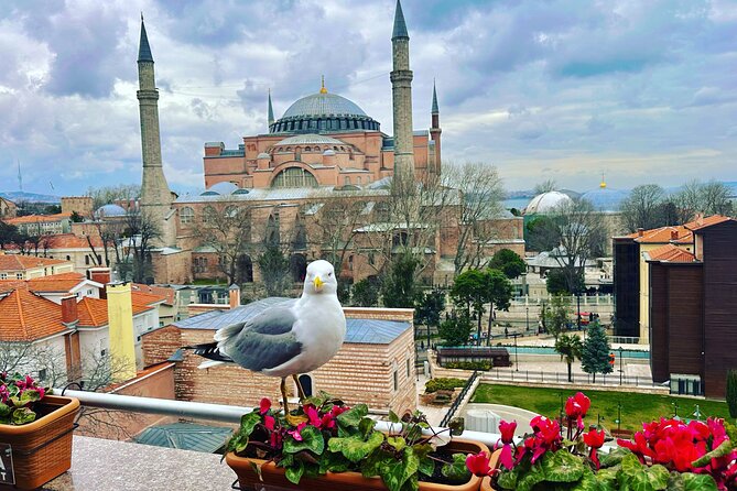 Tour With Guide Taha - Quick Points