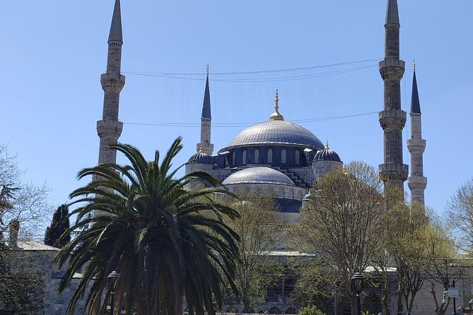 Tour With Guide Taha - Accessibility Considerations