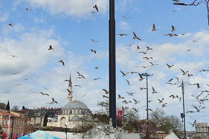 Tour With Guide Taha - Since You Asked