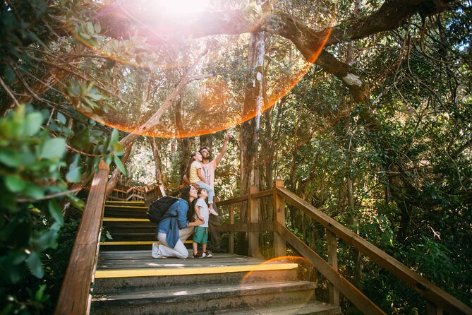 Tour With Navigation to the Arrayanes Forest and Victoria Island - Key Points