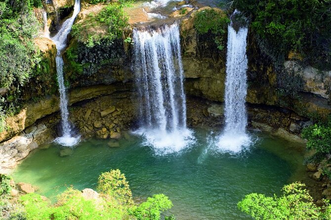 Tour With Whale Watching in Samaná, Beach and Waterfall - Feedback and Highlights