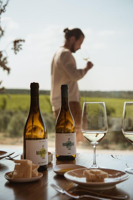 Tour With Wine and Olive Oil Tasting - Experience Highlights