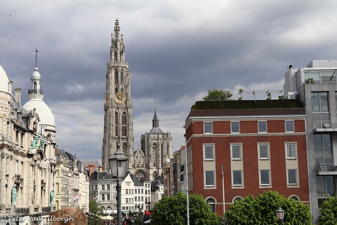Touristic Highlights of Antwerp on a Private Tour With a Local - Reasons to Book