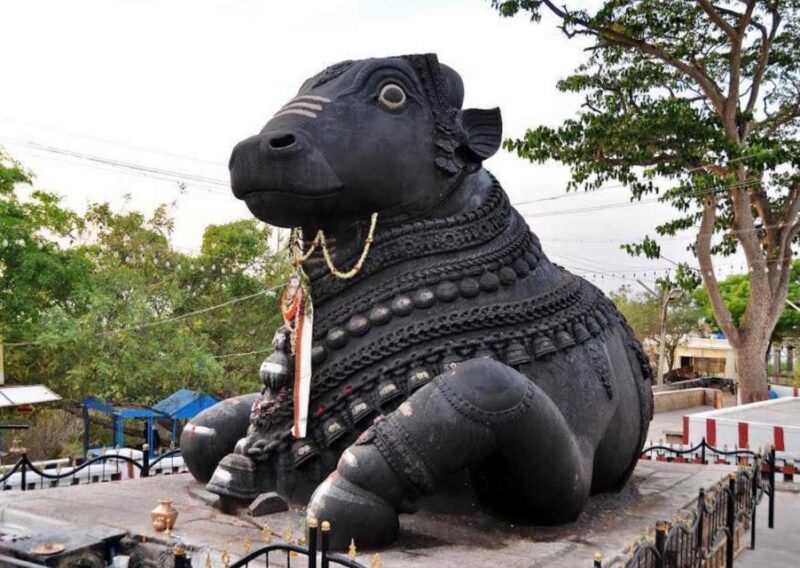 Touristic Highlights of Bangalore (Tour With Food Tasting) - Key Points