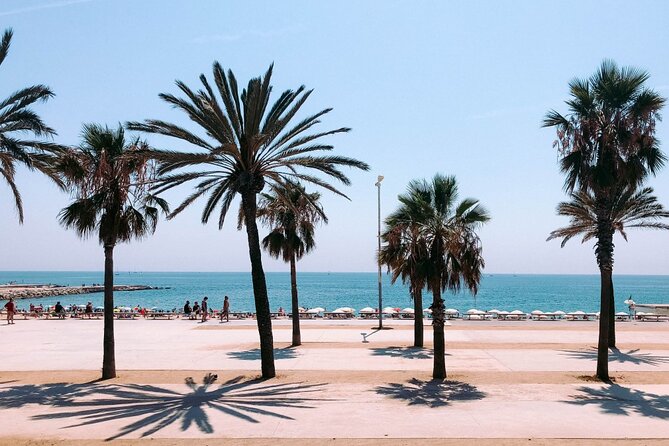 Touristic Highlights of Barcelona on a Private Full Day Tour With a Local - Navigating the Vibrant Ramblas