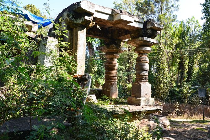 Touristic Highlights of Coorg (Guided Fullday Sightseeing Tour by Car) - Entrance Fees and Lunch