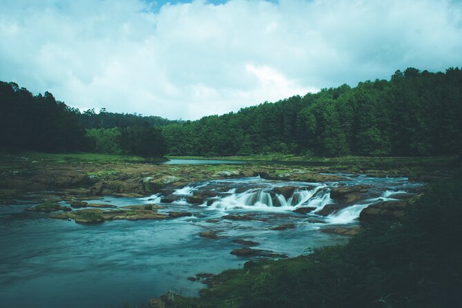 Touristic Highlights of Ooty (Guided Full Day City Sightseeing Tour by Car) - Key Points