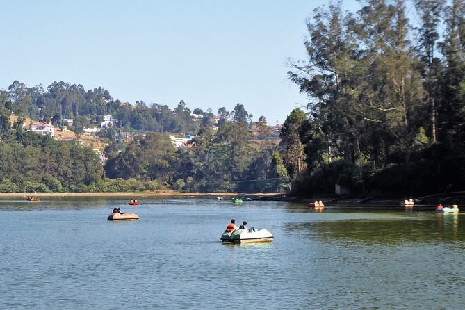Touristic Highlights of Ooty (Guided Full Day City Sightseeing Tour by Car) - Additional Details