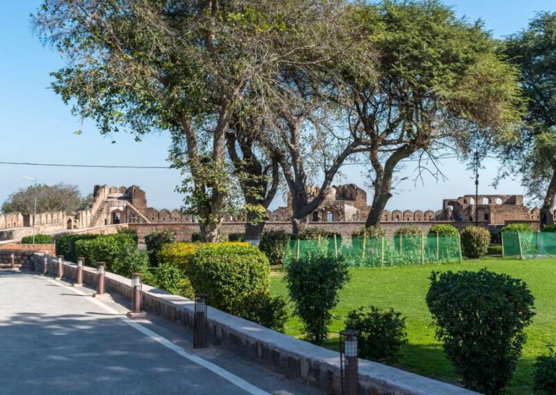 Touristic Highlights of Orchha & Jhansi(Guided Fullday Tour) - Efficient Communication and Tips