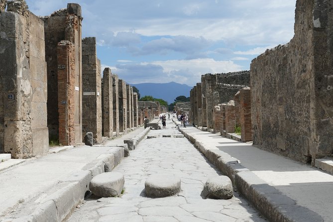 Touristic Highlights of Pompei on a Private Half Day Tour With a Local - Marveling at the Volcanic Destruction