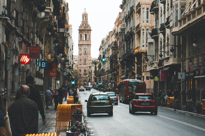 Touristic Valencia (With Flamenco) on a Private Full Day Tour With a Local - Participation Requirements