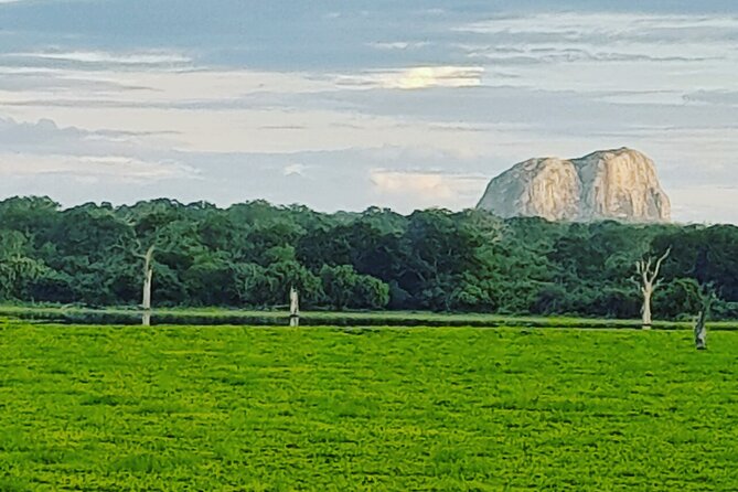 Tours and Transportation in Sri Lanka - Accessibility and Accommodations