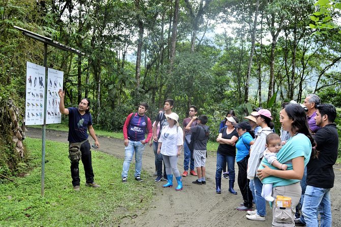 Tours Buenaventura Biological Reserve (Jocotoco) - Tour Overview
