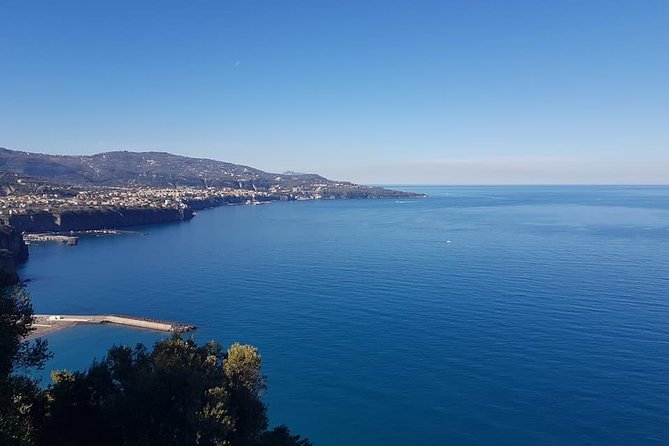 Tours of Amalfi Coast From Naples or Sorrento - Accessibility