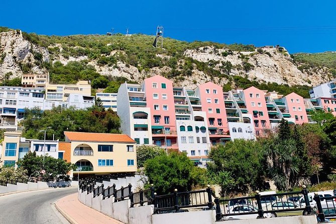 Tours of Gibraltar - STANDARD TOUR - Barbary Monkeys