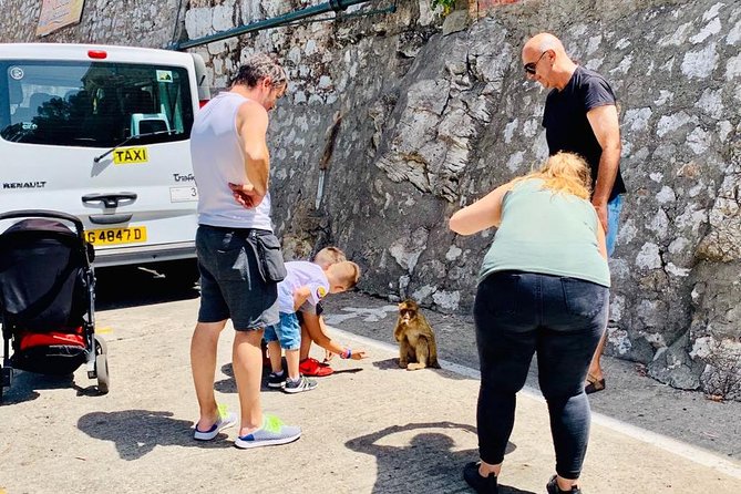 Tours of Gibraltar - STANDARD TOUR - St. Michaels Cave