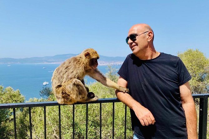 Tours of Gibraltar - STANDARD TOUR - Pillars of Hercules