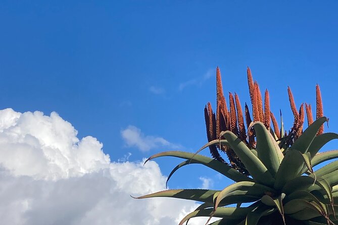 Tours of Santa Barbara - Reviews and Ratings