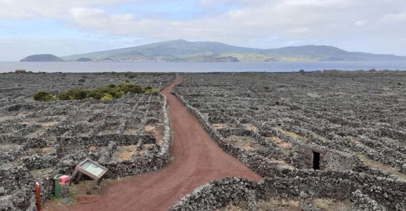 Tours on Pico Island - Cultural and Natural Landscape - Itinerary and Highlights