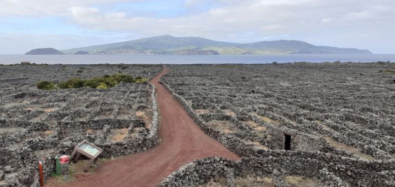 Tours on Pico Island - Cultural and Natural Landscape - Included Services