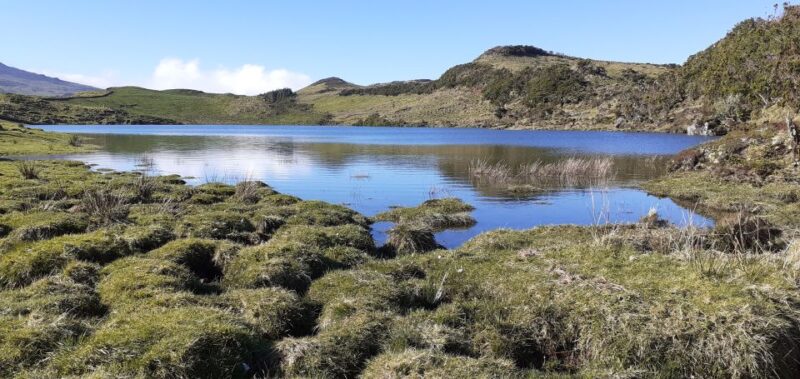 Tours on Pico Island - Cultural and Natural Landscape - Group Size and Languages