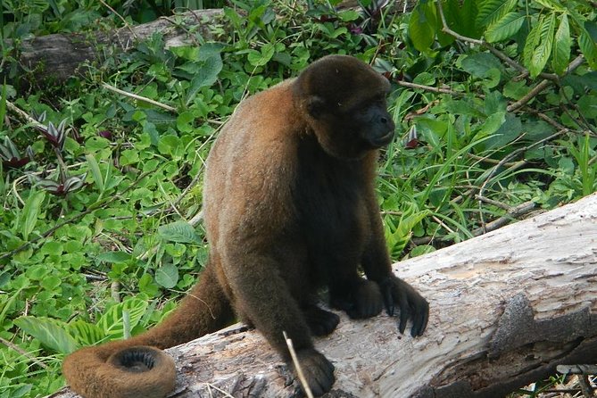 Tours to the Amazon - Indicchuris Jungle | Amazon Rainforest Tours - Participation Guidelines