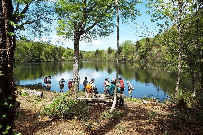Towards the Silent, Unexplored Pond, Naganuma Guided Walk - Activity Details