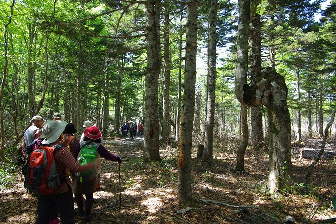 Towards the Silent, Unexplored Pond, Naganuma Guided Walk - Included Services