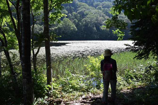 Towards the Silent, Unexplored Pond, Naganuma Guided Walk - Physical Fitness Requirements