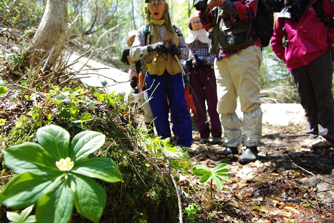 Towards the Silent, Unexplored Pond, Naganuma Guided Walk - Cancellation Policy