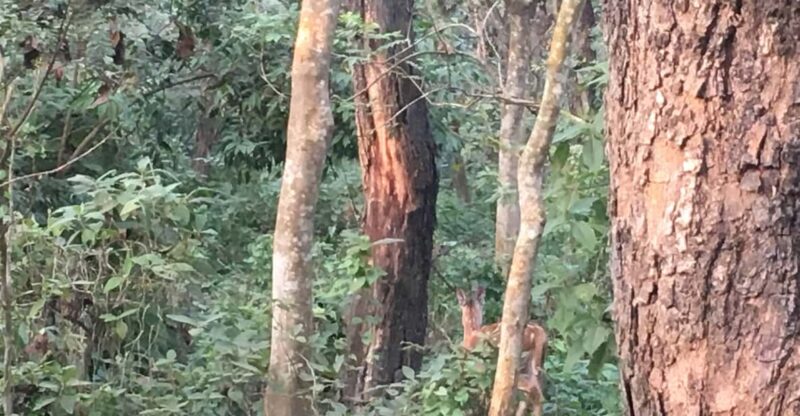 Tower Stay in Chitwan National Park - Packing Recommendations