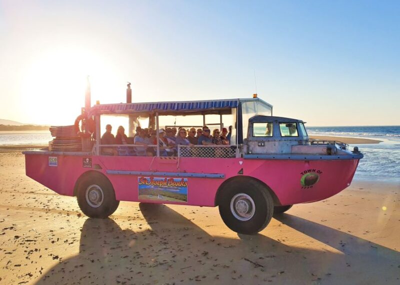 Town 1770: Afternoon Coastline Tour - Experience Highlights