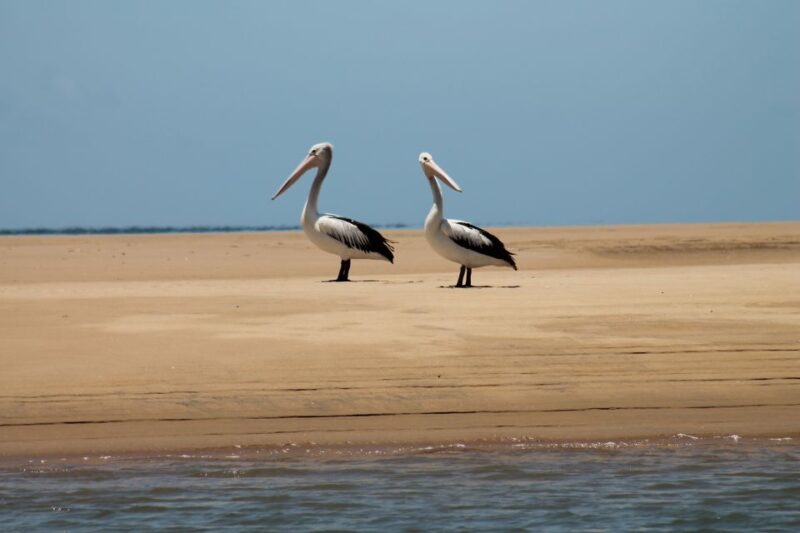 Town 1770: Afternoon Coastline Tour - Customer Feedback